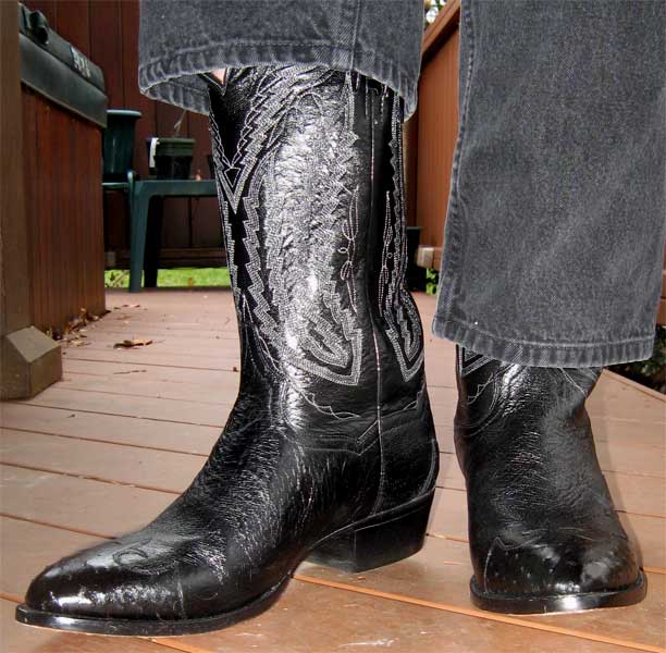 Dan Post Vegas Cut Cowboy Boots