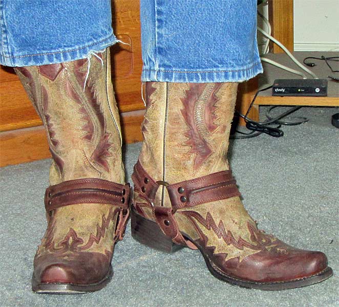 Stetson Outlaw Harness Boots