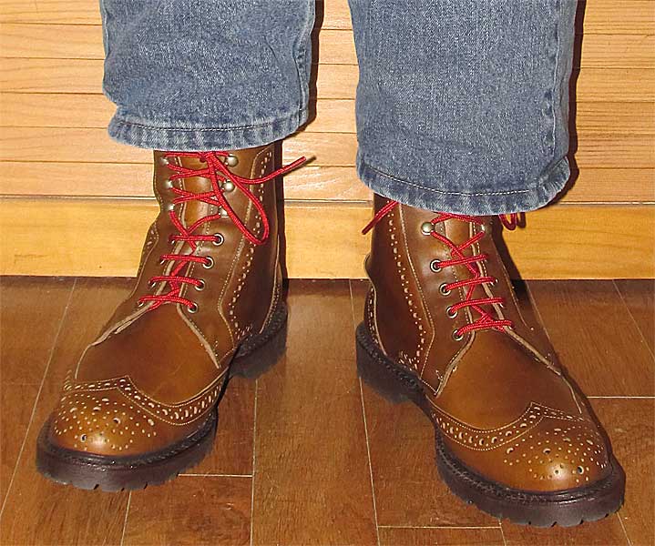 Allen Edmonds Long Branch Boots